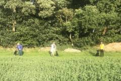 trainees-in-field