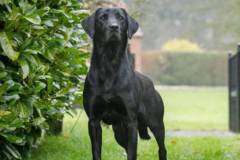 profile-nora