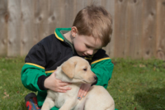 Puppy-Shoot-Sinead-March-2023-7244