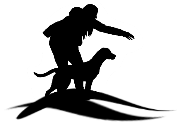 Mekoro Labradors